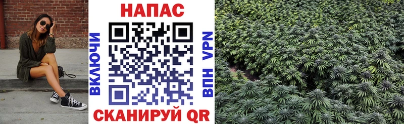 Купить наркотики цена Мезень А ПВП  Гашиш  Псилоцибиновые грибы  COCAIN  Каннабис 