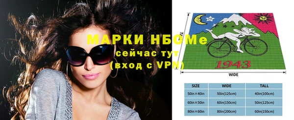 стаф Балахна