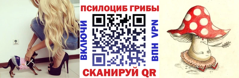 Галлюциногенные грибы Magic Shrooms  Мезень 