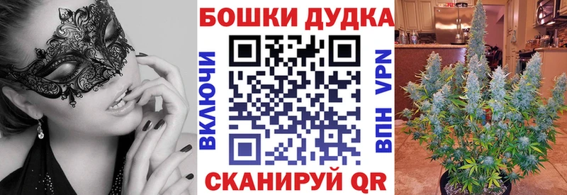 Каннабис сатива  Мезень 
